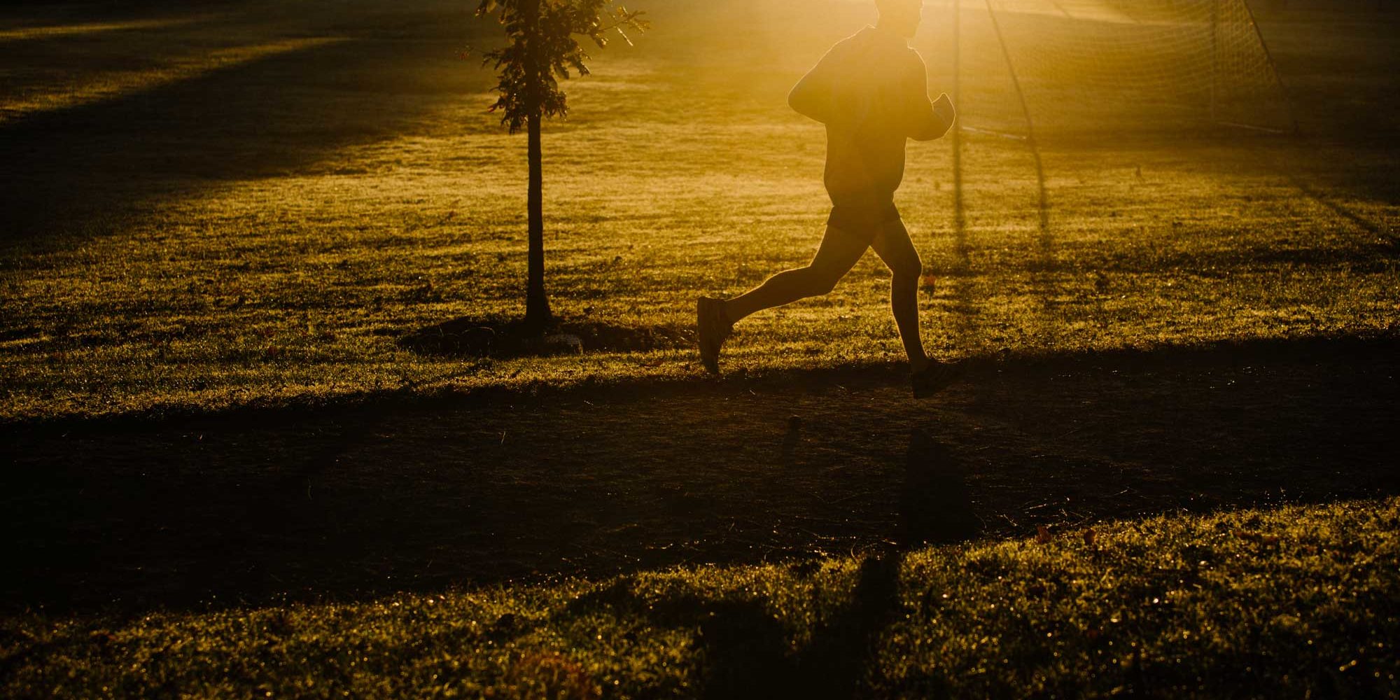 2017.10.18_-morning-features-_lemon-160