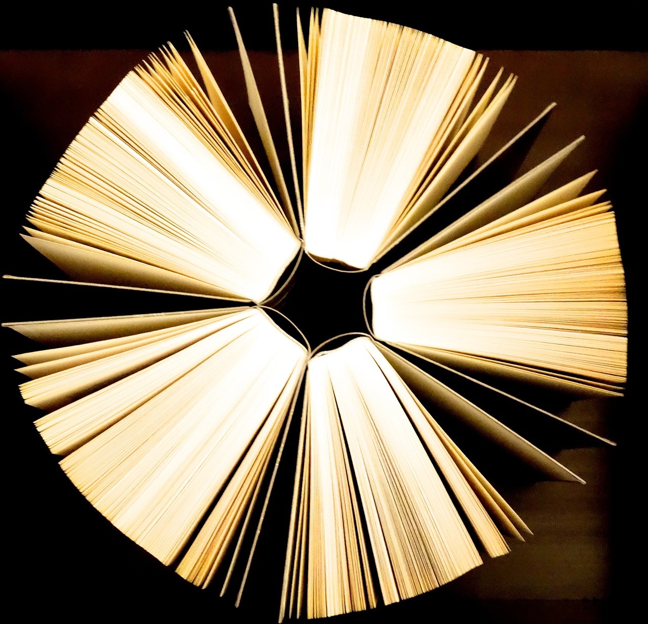 Book Design 1